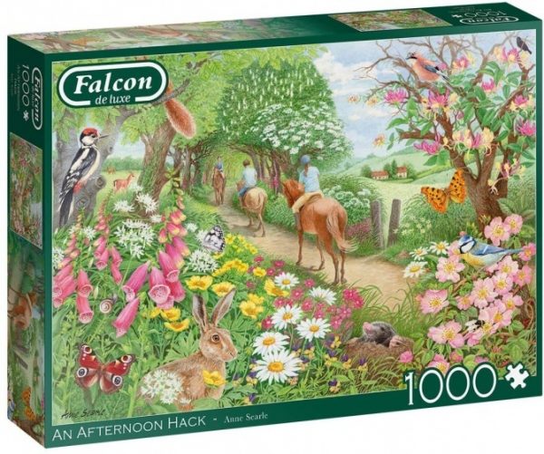 FALCON AN AFTERNOON HACK 1000PC